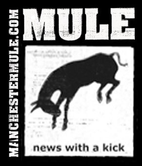 mule-logo-1